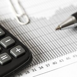 Guía Completa de la Temporada de taxes 2024 en Estados Unidos con Anne Services